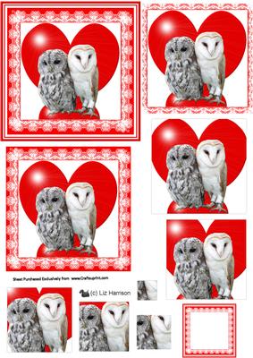 Romantic Barn & Tawny Owls Pyramid Sheet