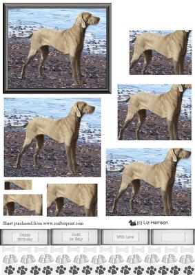 Weimaraner Beach Scene Pyramid