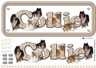 Collie Name Sign 3D