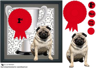 Pug Dog Trophy and Rosette 8x8 Card