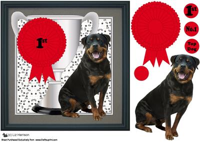 Rottweiler Trophy and Rosette 8x8 Card