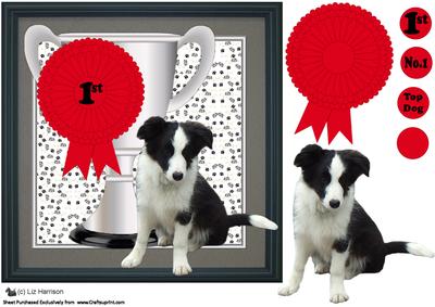 Border Collie Trophy and Rosette 8x8 Card