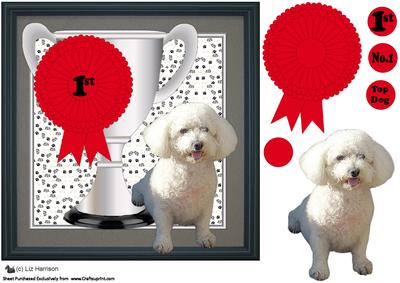 Bichon Frise Trophy and Rosette 8x8 Card