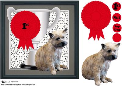 Cairn Terrier Trophy and Rosette 8x8 Card