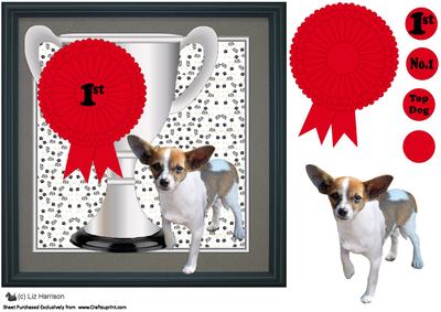 Chihuahua Trophy and Rosette 8x8 Card