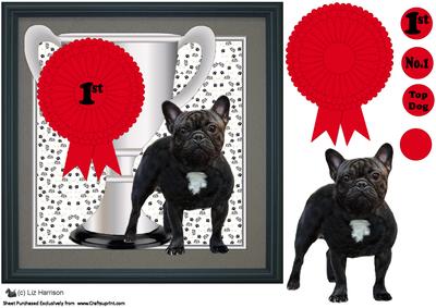 French Bulldog Trophy and Rosette 8x8x Card