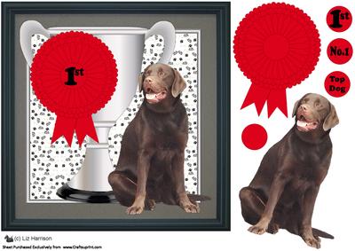 Chocolate Labrador Trophy and Rosette 8x8 Card