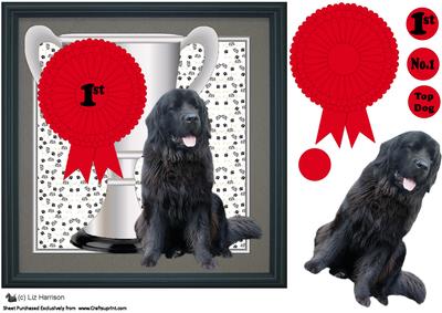 Newfoundland Dog Trophy and Rosette 8x8 Card