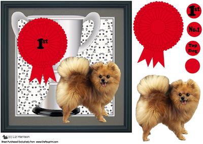 Pomeranian Trophy and Rosette 8x8 Card