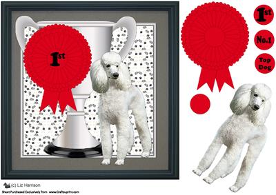 Poodle Trophy and Rosette 8x8 Card
