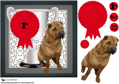 Shar Pei Dog Trophy and Rosette 8x8 Card