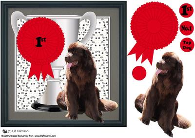 Newfoundland Dog Trophy and Rosette 8x8 Card