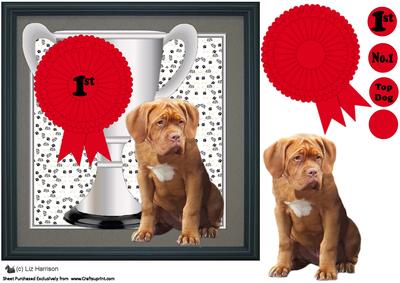 Dogue De Bordeaux Trophy and Rosette 8x8 Card