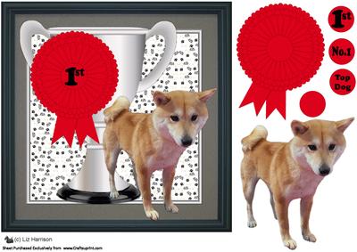 Shiba Inu Trophy and Rosette 8x8 Card