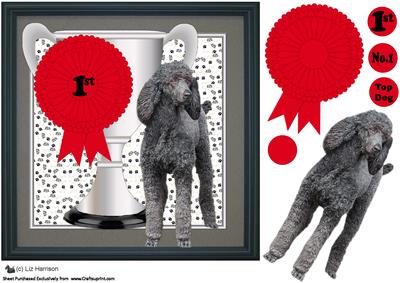 Standard Poodle Trophy and Rosette 8x8 Card