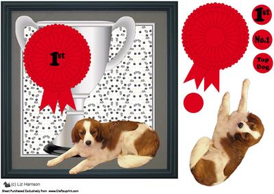 Kooikerhondje Dog Trophy and Rosette 8x8 Card