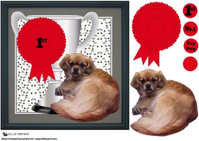 Tibetan Spaniel Trophy and Rosette 8x8 Card