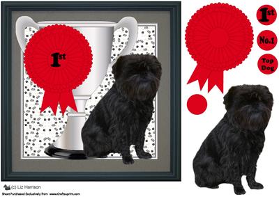 Affenpinscher Dog,trophy and Rosette 8x8 Card