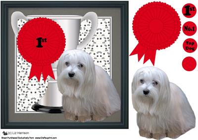 Maltese Dog Trophy and Rosette 8x8 Card