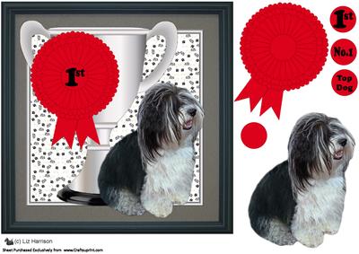 Havenese Dog Trophy and Rosette 8x8 Card