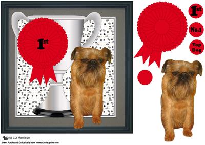 Griffon Bruxellois Trophy and Rosette 8x8 Card