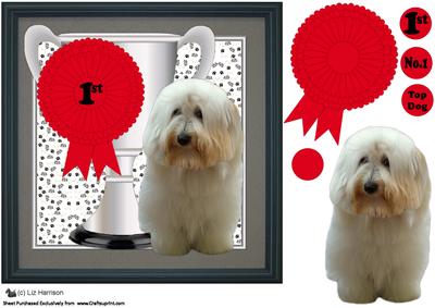 Coton De Tulear Trophy and Rosette 8x8 Card