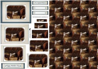 Hereford Cow & Calf Pyramid Sheet with Background