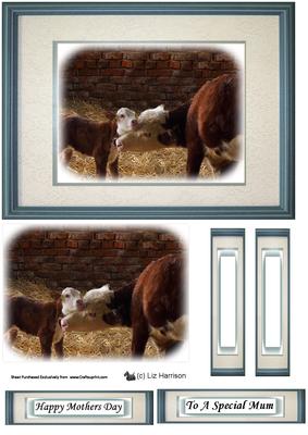 Hereford Cow & Calf Topper Sheet