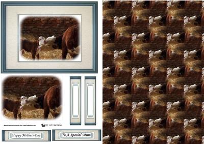 Hereford Cow & Calf Topper Sheet with Background