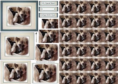 Akita Dog & Puppies Pyramid Sheet with Background