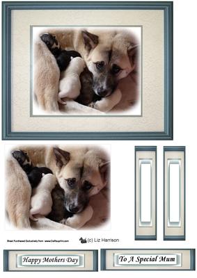 Akita Dog & Puppies Topper Sheet