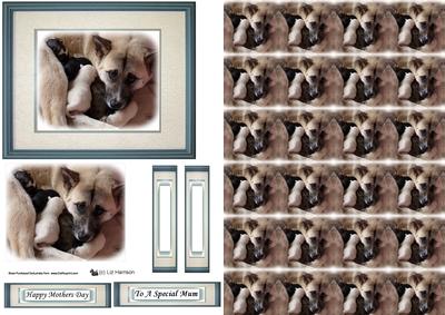 Akita Dog & Puppies Topper Sheet with Background
