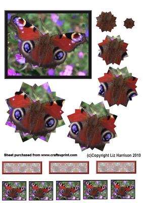 Butterfly Flower Shaped Pyramid