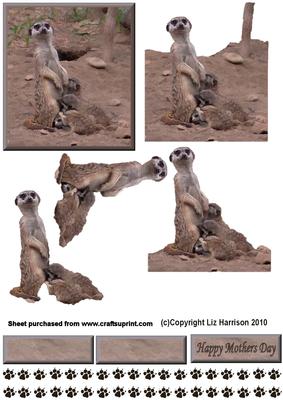 Meerkat Mum & Babies 3D Decoupage