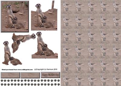 Meerkat Mum & Babies 3D Decoupage with Background