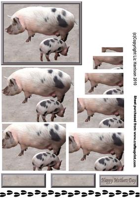 Pig Mum & Piglet Pyramid