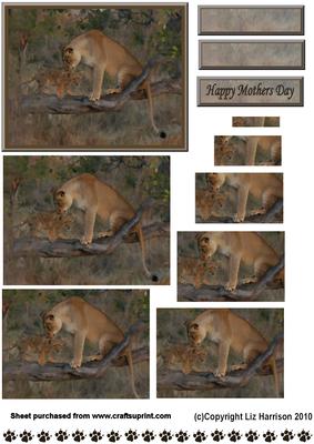 Lioness & Cub Pyramid