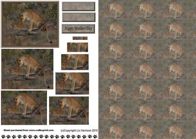 Lioness & Cub Pyramid with Background