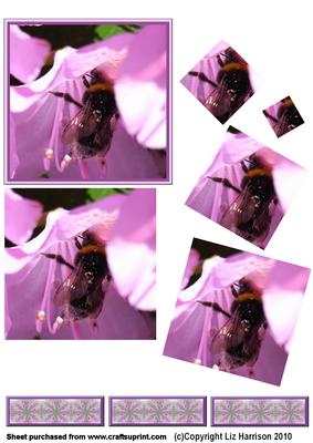 Bee in Flower Twisted Pyramid