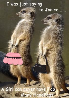 Meerkats with Handbags