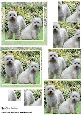 Westie Pair Scene Pyramid