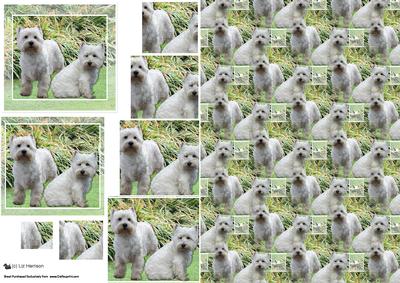 Westie Pair Scene Pyramid & Background