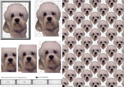 Dandie Dinmont Dog Pyramid & Background
