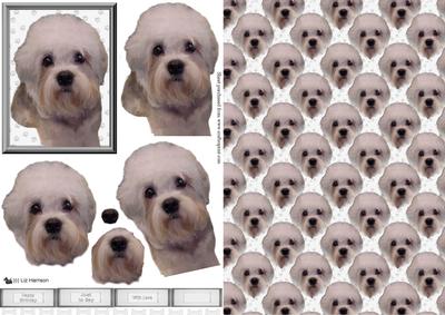 Dandie Dinmont Dog 3D Decoupage & Background