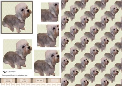 Dandie Dinmont Terrier Pyramid & Background