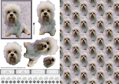 Dandie Dinmont Sat 3D Decoupage & Background