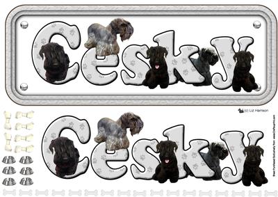 Cesky Terrier Name Sign 3D Decoupage