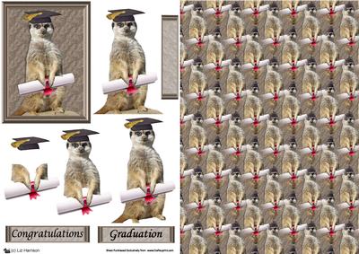 Meerkat Graduation 3D Decoupage & Background