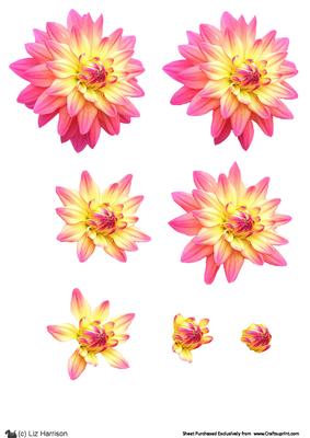 Dahlia Pink & Lemon 3D Decoupage