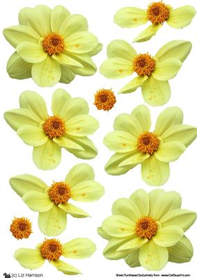 Dahlia Lemon 3D Decoupage
